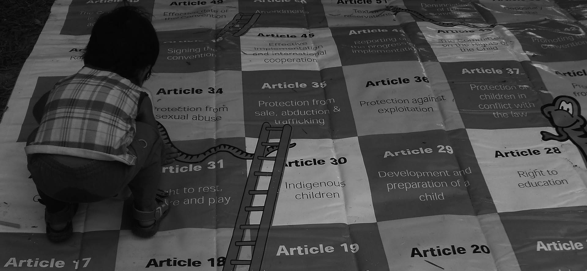 advocacy and campaigns